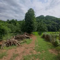 سرایدار|استخدام سرایداری و نظافت|رستمآباد, |دیوار