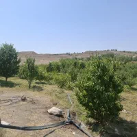 باغ به همراه منزل و تانکر آب
