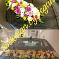 گل آرایی ماشین عروس و دسته گل عروس درب منزل|خدمات پذیرایی، مراسم|شیراز, پودنک|دیوار