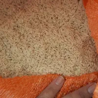 برنج هاشمی عطردار گیلان ( دو الک شده )|خوردنی و آشامیدنی|رشت, گلسار|دیوار