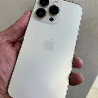 13pro