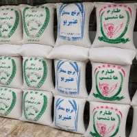 پخش عمده و جزیی برنج مستقیم از برنجکوبی (کالابرگ)
