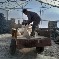 پودرگرانول