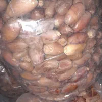 خرما|خوردنی و آشامیدنی|داراب, |دیوار