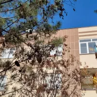 فروش آپارتمان در یکی از بهترین مجتمع های گلبهار|فروش آپارتمان|گلبهار, شهر جدید گلبهار|دیوار