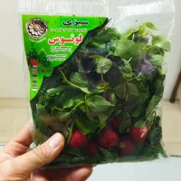 استخدام رسمی راننده جهت توزیع سبزی پاک شده