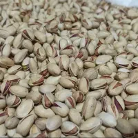 پسته امسالی خندان