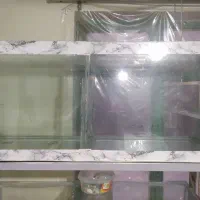 فروش انواع سایز آکواریوم بعلت جمع آوری سالن|ماهی|همدان, |دیوار