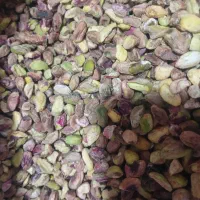 پسته اکبری از تولید به مصرف|عمدهفروشی|خلخال, |دیوار