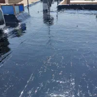 نصب ایزوگام و تعمیرات با 10سال ضمانت