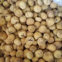 خرمای تازه.ابلیموتازه.انجیر.گردو|خوردنی و آشامیدنی|زارچ, |دیوار
