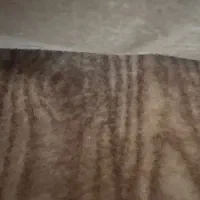 کناره یک در۴