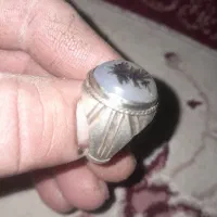 شجر|جواهرات|تربت‌حیدریه, باغ ملی|دیوار