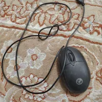 موس