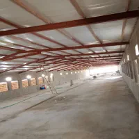 بتن ریزی با ماله پروانه|خدمات پیشه و مهارت|شیراز, شهرک صنعتی|دیوار