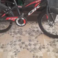 دوچرخه معمولی شماره 20