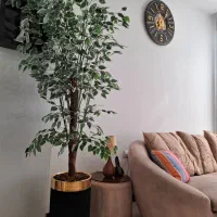 درختچه با گلدان