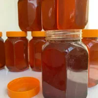 عسل طبیعی کوهستان|خوردنی و آشامیدنی|تهران, جلیلی|دیوار