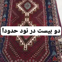 قالی دستبافت|فرش|کرمان, |دیوار