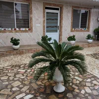 اجاره روزانه ویلای تمیزو زیبا و امن