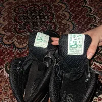 کفش ایمنی|کیف، کفش، کمربند|تبریز, |دیوار
