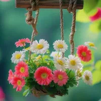 فندق تازه دو پوست الموت|خوردنی و آشامیدنی|تهران, اقدسیه|دیوار