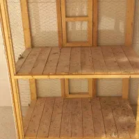 قفس مرغ خروس پرنده