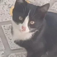 بدلیل مسافرت واگذار میشوند.