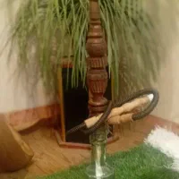 دوعدد قلیون