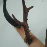 اسباب بازی شاخ|صنایع دستی و سایر لوازم تزئینی|علیآباد کتول, |دیوار