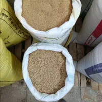 دانه پارس درجه یک|عمده‌فروشی|مینودشت, |دیوار