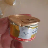 کنسرو گورمت