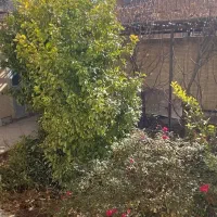 خانه-اجاره-ای