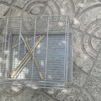 قفس پرون غلامی