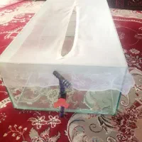 21 عدد آکواریوم مناسب ماهی و.