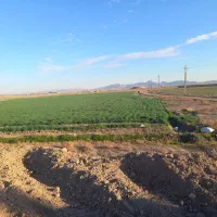 زمین کشاورزی سند ششدانگ|فروش زمین و ملک کلنگی|شریفآباد, |دیوار