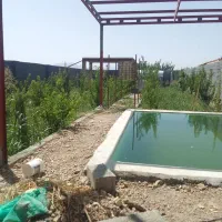 دولاب-باچه-اسپارت
