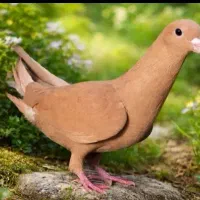 نگهداری از سگ وپرنده