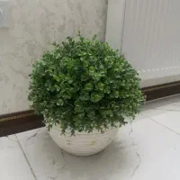 گل مصنوعی خوش رنگ|گل و گیاه طبیعی|تهران, هفده شهریور|دیوار