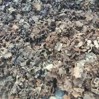 لوله داربست،بست داربست، رابط داربست، پایه فنس|مصالح و تجهیزات ساختمان|جونقان, |دیوار