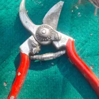 قیچی فیلکو ۲|ابزارآلات|نالوس, |دیوار