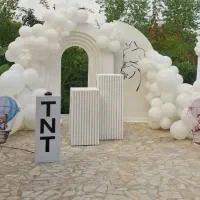 اجرای بادکنک آرایی دکور نامزدی و اجاره تجهیزات...|خدمات پذیرایی، مراسم|رشت, توشیبا|دیوار
