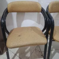 دکور آرایشگاه|آرایشگاه و سالنهای زیبایی|زاهدان, |دیوار