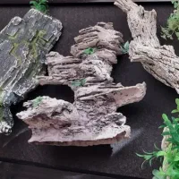 وسایل آکواریوم|ماهی|شیروان (خراسان), |دیوار