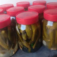 خیارشور تازه و ریز