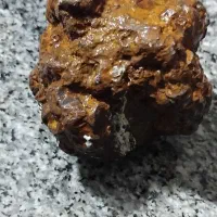 شهاب سنگ|کلکسیون اشیاء عتیقه|فیروزآباد (فارس), |دیوار