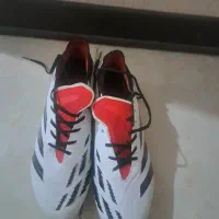 کفش فوتبال adidas predator|کیف، کفش، کمربند|شیراز, شهرک سراج‎|دیوار