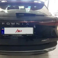 فونیکس صفر خشک