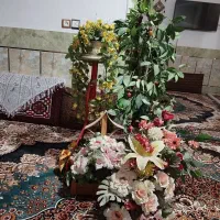 درختچه