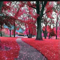 اجاره منزل مبله به صورت ساعتی و روزانه